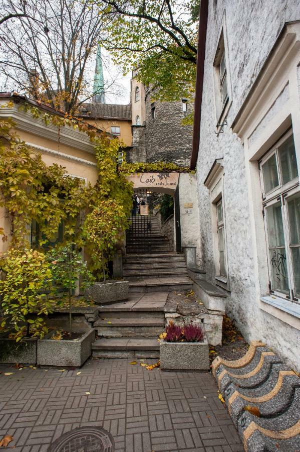 Baltic Accommodation 1 - Rumbi 4-36 Tallinn Ngoại thất bức ảnh